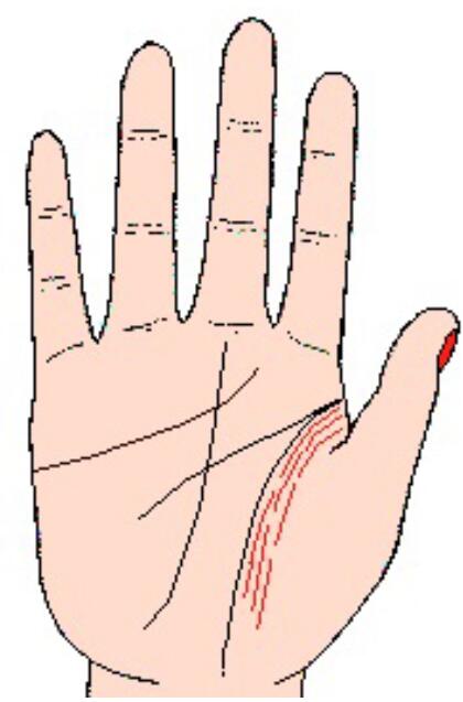 影响线怎么看 影响线详解