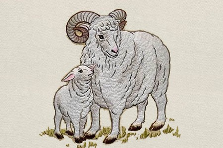 今年20岁属什么生肖 2023年20岁属什么生肖