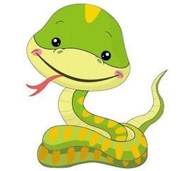 后年是什么生肖年 2025年是什么生肖年