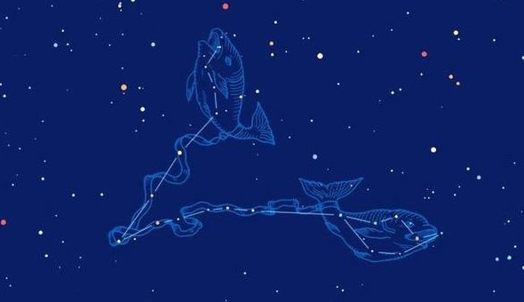 双鱼座黑化起来有多厉害