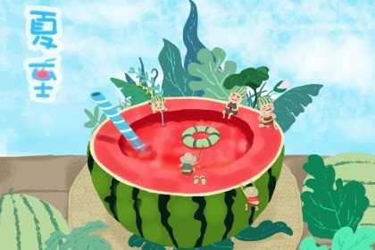 2023夏至是几月几日 今年夏至日期详解