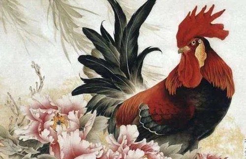 1981年属鸡人今年运势 1981年属鸡的人2019年运势及运程