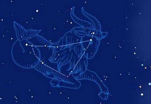 张智尧是什么星座