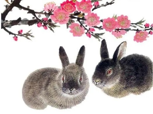 属兔的2018年运势如何 属兔2018年运势及运程