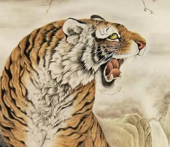 1986年属虎的女人2018年运势如何 1986年属虎女每月运势