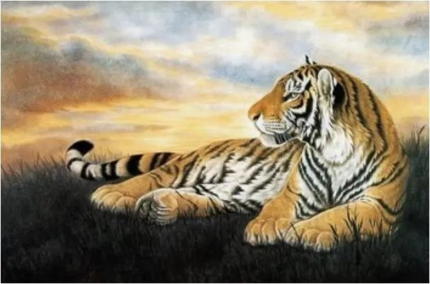 属虎的人今年运势及运程如何 属虎的人2019年全年运势运程