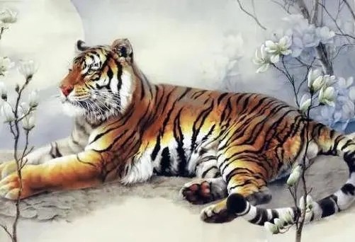 属虎财运在哪个方位 属虎财运方位在哪2023