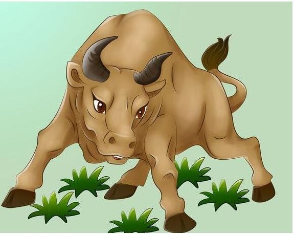 73年属牛2019年运程 1973年生肖属牛的人2019年运势解析