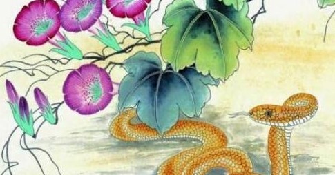 2023年属蛇的幸运颜色 忌讳颜色分别是什么