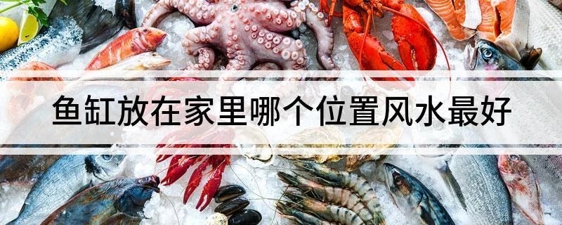 鱼缸放在家里哪个位置风水最好 鱼缸放在家里哪个位置好