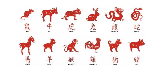 12生肖桃花运分析 哪些生肖有桃花之王之称