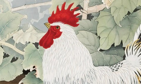 属鸡和属兔越冲越旺 属鸡和属兔越冲越旺是真的吗