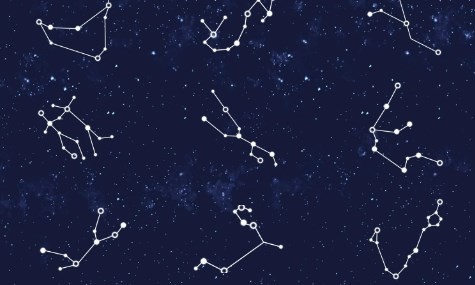 外傻内精的星座女 外傻内精的星座女是你吗