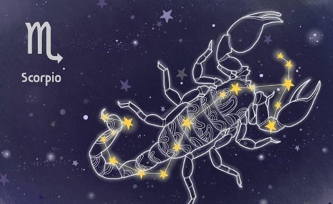 把天蝎女当宝贝的星座男 把天蝎女当宝贝的星座男是你吗