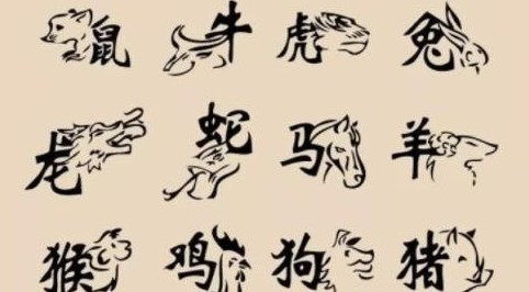 2023年11月23日生肖相冲 2023年11月23日冲什么生肖