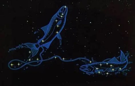 2023年双鱼座10月提运 2023年双鱼座10月财运怎么提升